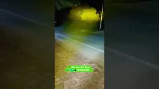 Owl shape fog light with white yellow flashing