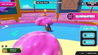 Fall Guys Game Live Stream Day 5