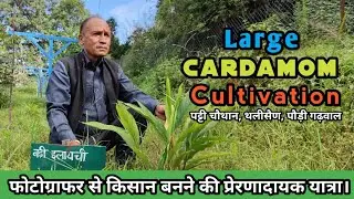 Big Cardamom Cultivation|फोटोग्राफर से किसान बनने की प्रेरणादायक यात्रा|Pauri|Uttarakhand @hillvani 