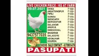 daily paper rate of egg and chicken!! #suguna #vencobb #pasupatu