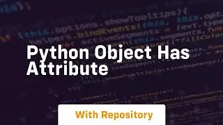 python object has attribute