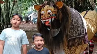 Lihat Ada Pertunjukan Barong Di Hutan Bambu