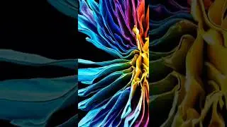 Crazy Visuals