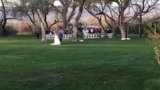Beautiful La Mariposa Wedding in Tucson