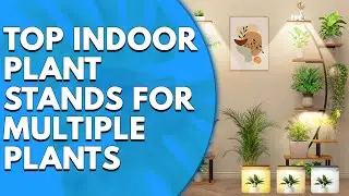 5 Top Indoor Plant Stands for Multiple Plants: Our Top Picks