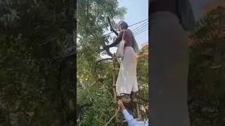 Road accident. Vrindavan, India