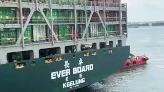 Seaport. Mooring of a cargo vessel for loading containers. IEC.