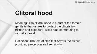 Clitoral hood Meaning