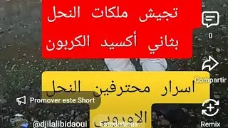 شرح استخدام ثاني أكسيد الكربون في تحفيز الملكات  سابقة في عالم النحل العربي اسرار الاوروبيون فالنحل