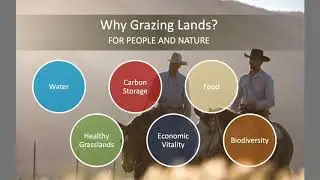 ALEI 2019 - KEYNOTE PANEL: EMERGING OPPORTUNITIES IN ECOSYSTEM TRADING MARKETS