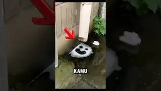 Fenomena aneh di rumah#shorts #viralvideo