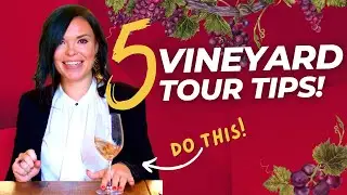 Wine Wisdom : 5 Vineyard Tour Tips!
