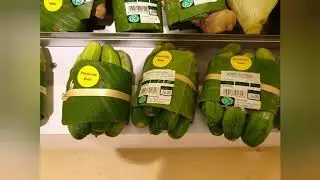 Eco-friendly & Cost Effective Packaging