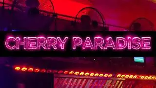 Cherry Paradise - Progressive House / Live set / Noor Electro Bar / Moscow