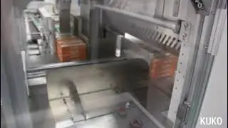 Palletizing & Shrink Wrapping Machine (sleeve type)