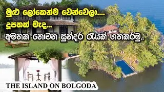 Bolgoda lake Sri Lanka | The Island On Bolgoda.