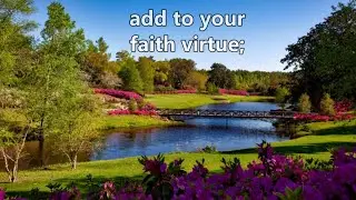 Add to Your Faith Virtue, Knowledge... || Scripture Song || 1 Peter