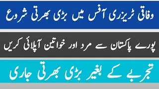 Federal Treasury Office Jobs 2023 | Jobs in Treasury Office Karachi 2023