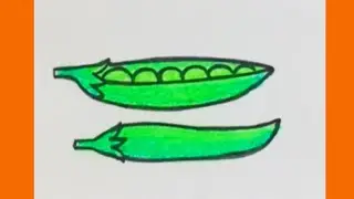 How to draw peas step by step|easy peas drawing|vegetable drawing