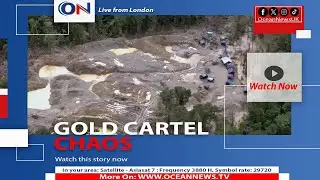 Criminal Cartels Shift to Illegal Gold Mining, Driving Violence in Latin America and South Africa