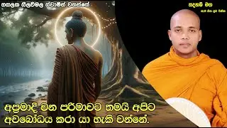 අප්‍රමාදී වන පරිමාවට තමයි අපිට අවබෝධය කරා යා හැකි වන්නේ.2084Ven Hasalaka Seelawimala Thero