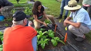 Hawaii-One-Ag Profile: Leeward Community College