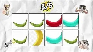  Say The Word On Beat I LEVEL 1-3 I EASY MEDIUM HARD