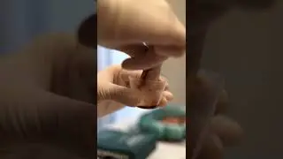 Time to peel! 🤩💫