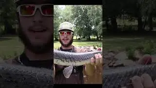 Catching Giant DINOSAUR Fish!! #Jesus #GrayGang