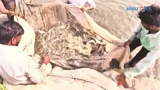 Land based fish Farming | Mangalmurti Farms and Fisheries Indore MP