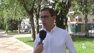 Tratamiento en Pozoblanco contra Galeruca del Olmo