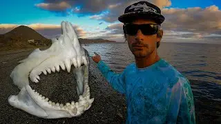 I Can't Believe I Found One of These Spearfishing - Baja Azul - part 4
