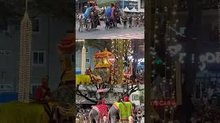 Mysore Dasara Ambari 2024 | Jamboo Savari #mysoredasara2024