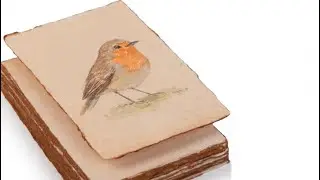 Wanderings Handmade Antique Deckle Edge Blank Cards Mixed Media Cards for Announcements Invitations