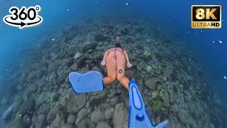 VR360 | Diving Into the Unknown &ndash; You Won&rsquo;t Believe What I Found! 8K