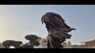 Катар. Доха. Саяхат.