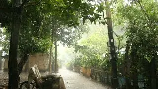 Heavy raining ! Fulfilling precipitation sounds for dozing or to destress, | White Noises For Sleep