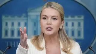 &lsquo;Epstein was a creep&rsquo;: Karoline Leavitt speaks on newly released files