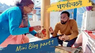 Daily routine mini blog | With Bhang chutney #dailyvlog #girdapahadi