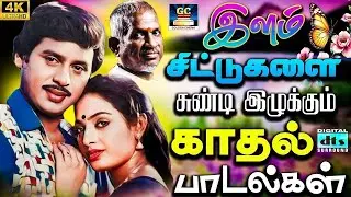 இளம் சிட்டுகளை சுண்டி இழுக்கும் காதல் பாடல்கள் | 80s Megahit Love Melody Songs | Ilayaraja | 4K