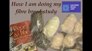 How I do my fibre breed study #fibreart #fibreartist  #handspinning  #handspunyarn  #breeds