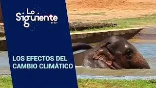 El clima extremo bate r&eacute;cords | Lo Siguiente
