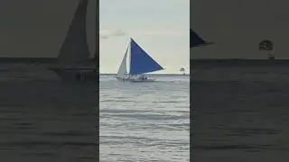 Saturday feels 🥰 #sailing #shortvideo #video