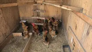 что нового в нашем  хозяйстве