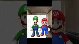 Mario and Luigi's normal elevator ride #mario #luigi #nintendo