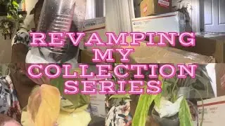 Multiple Wishlist Plants Unboxing | Revamping My Collection Series | Episode 1 | Large Commons
