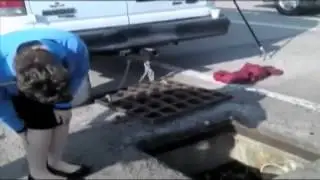 Kitten rescued from storm drain