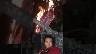 fire chicken sighting #reactionvideo #reaction #shorthorror #ghost