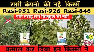 Rasi कंपनी के नए बीजों की जानकारी / rasi new cotton seeds 951,926,846