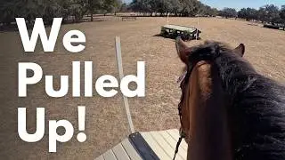GoPro: Lissavorra Quality (Advanced | 2026 Rocking Horse Winter II Horse Trials)